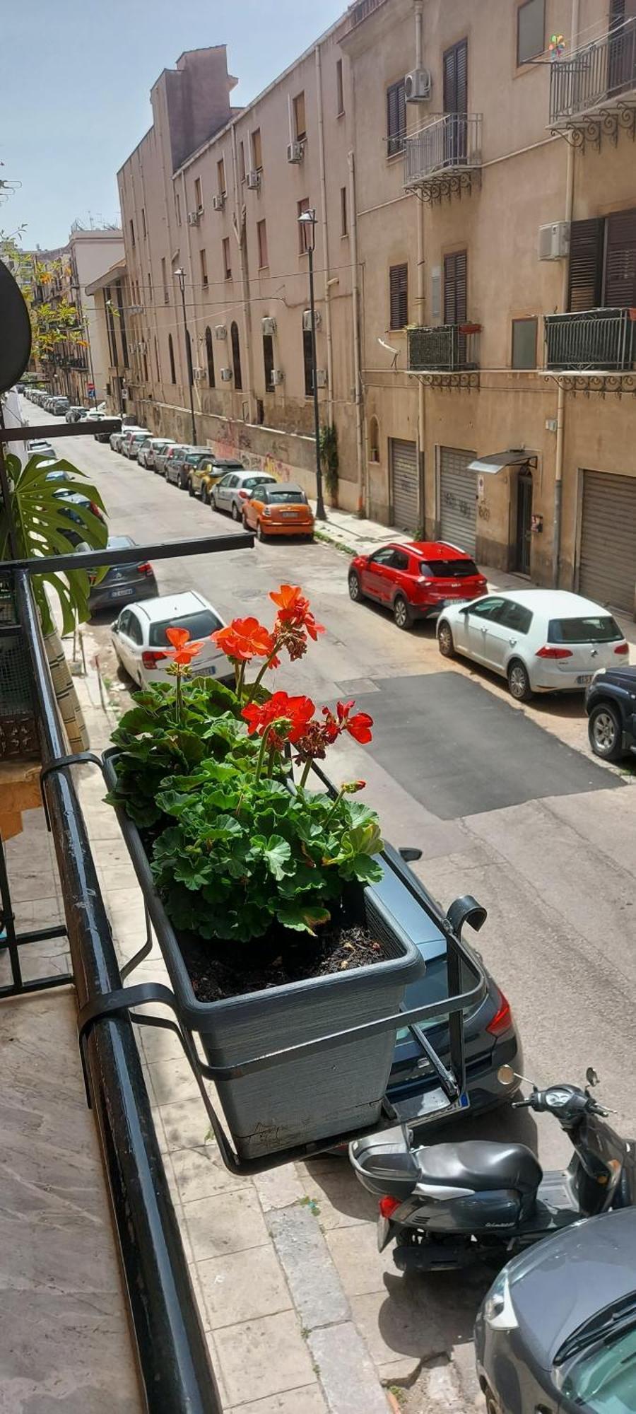 Civico 67 Daire Palermo Dış mekan fotoğraf